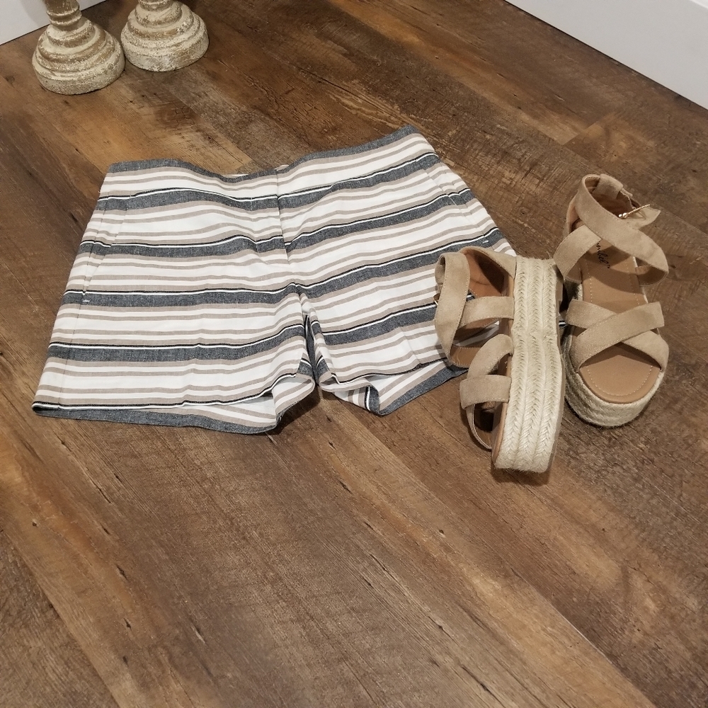 Ann Taylor Shorts  Size  2